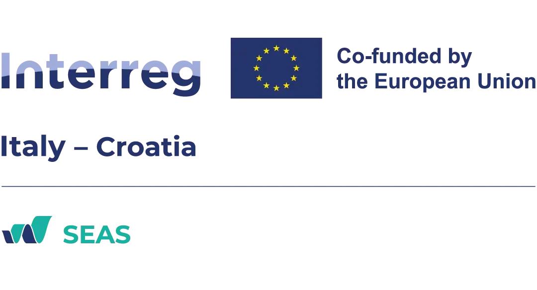 SEAS: Invitation to the opening Conference and Presentation of the Call for Proposals